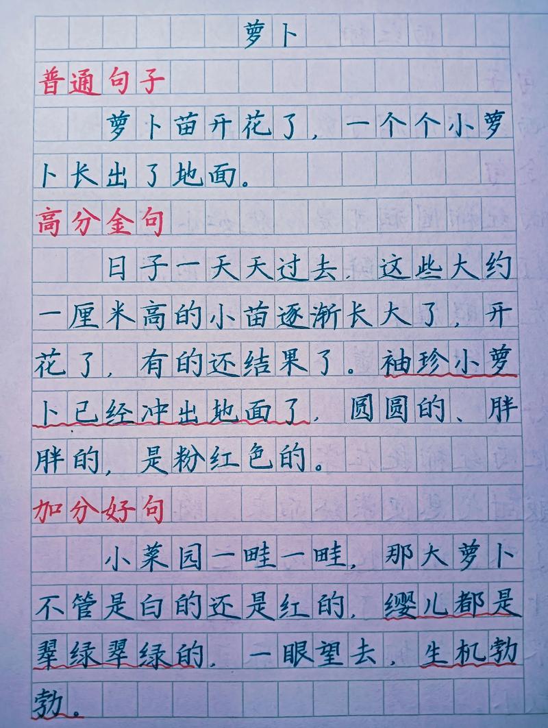 萝卜手写体制作工坊下载