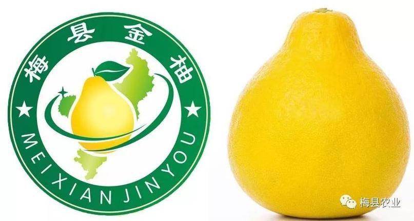 独一无二的柚子昵称图标