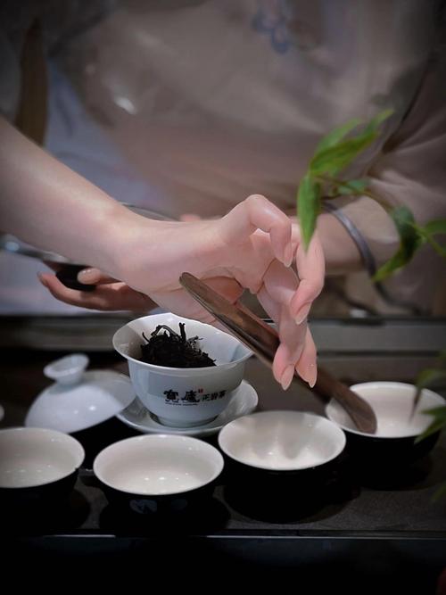 茶艺视频素材