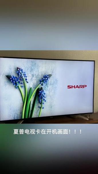 电视机有网络但是一直转圈