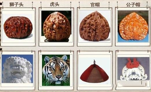 四大名核桃是哪四种