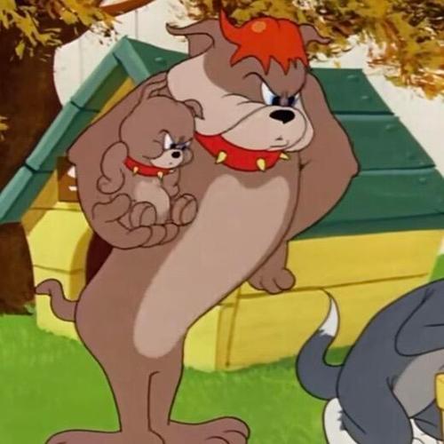 我的猫和老鼠