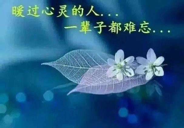 谁能真正懂我