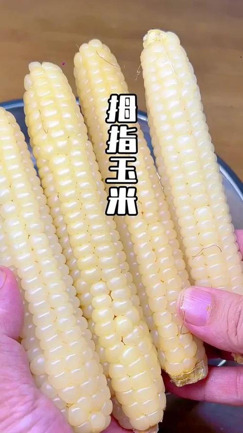 拇指玉米中间能吃吗