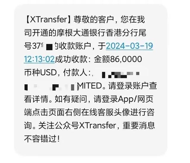 国内美金多久能到账