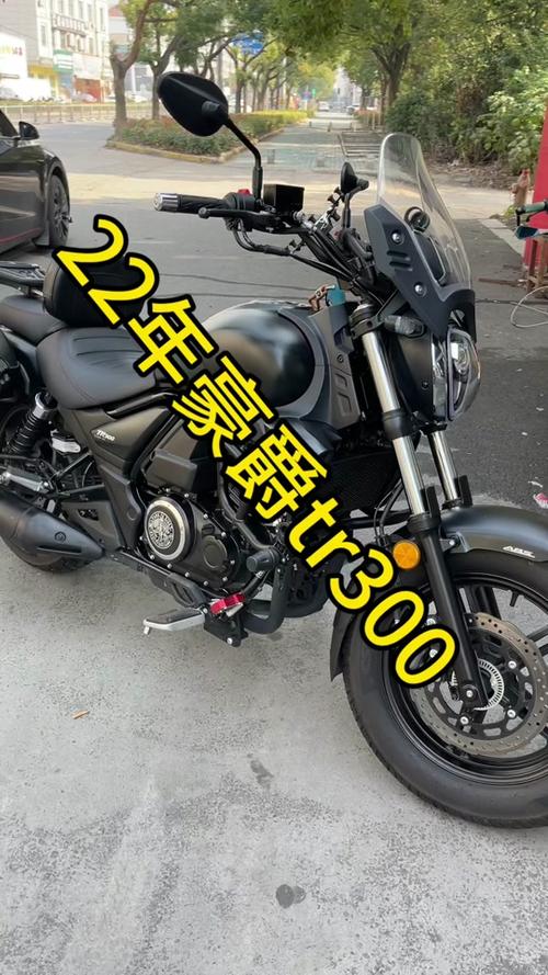tr300参数设置