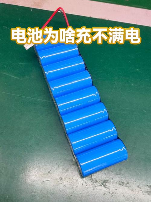 相机电池充不上电了