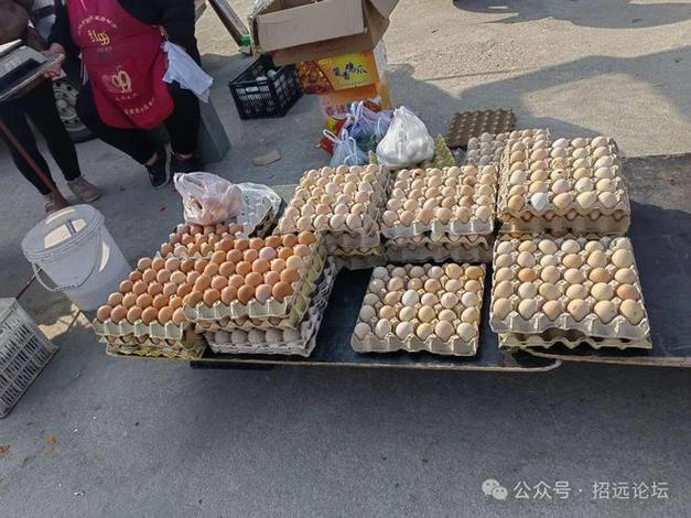 为何没人摆地摊卖鸡蛋缩略图