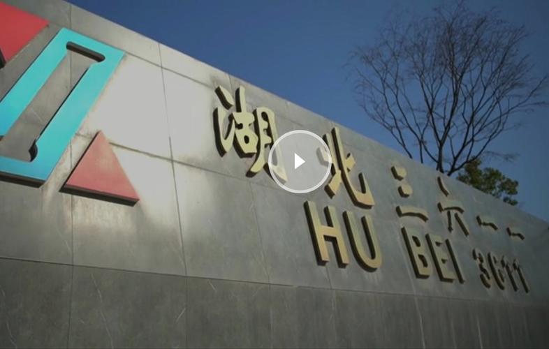 湖北电视剧制作有限责任公司