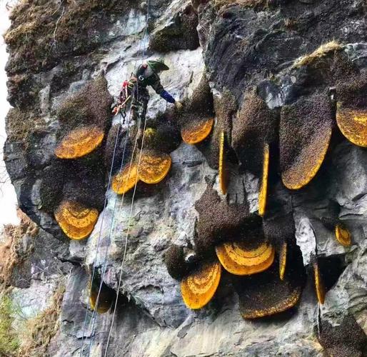 蜂站代收点挣钱吗