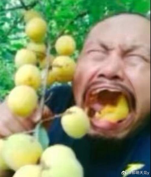 吃李子吗表情包缩略图