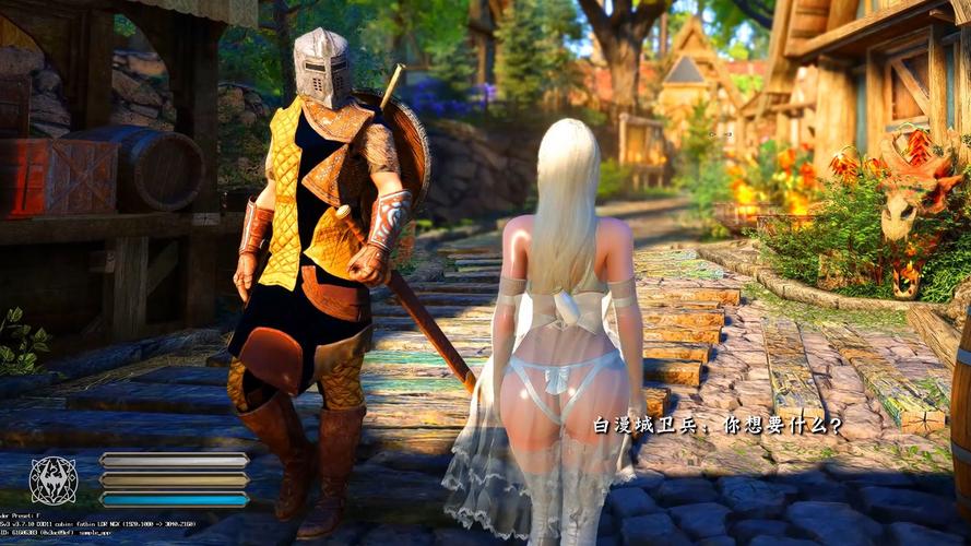 上古卷轴5小白绅士版