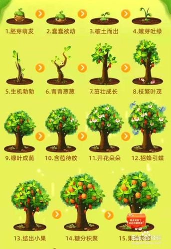 芭芭农场种错树了怎么办