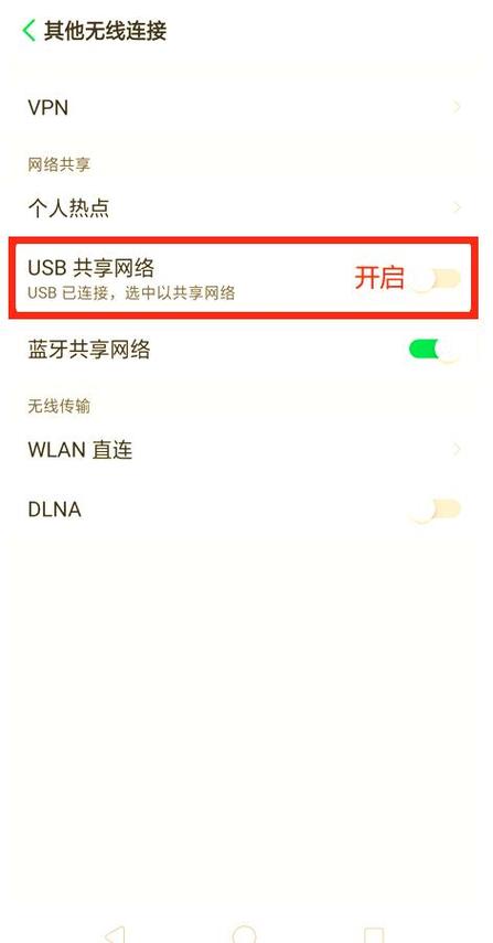usb网络共享电脑没网
