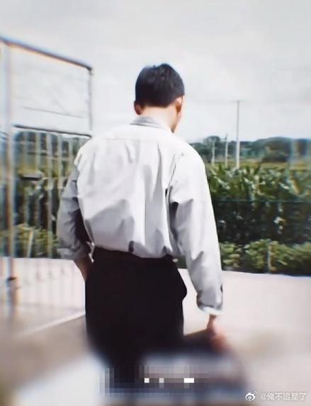 张嘉译走路叫什么步伐