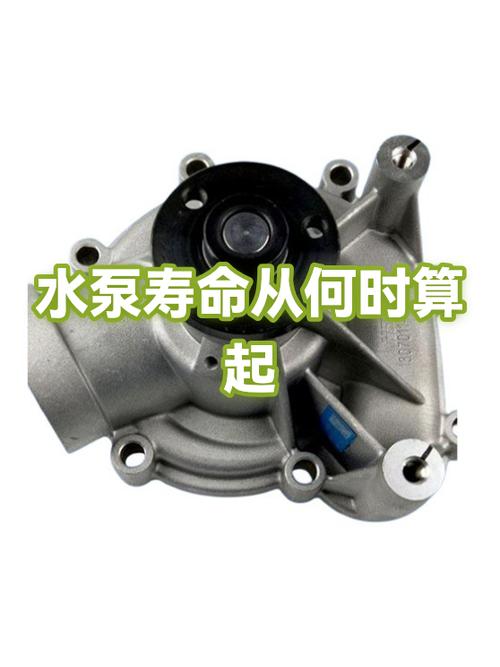 循环泵能用几年