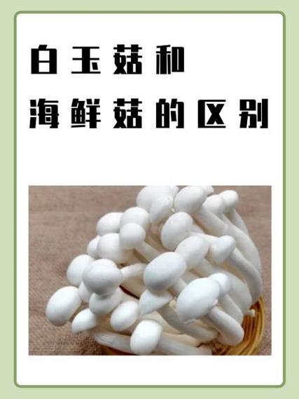 白玉菇和蟹味菇的区别缩略图