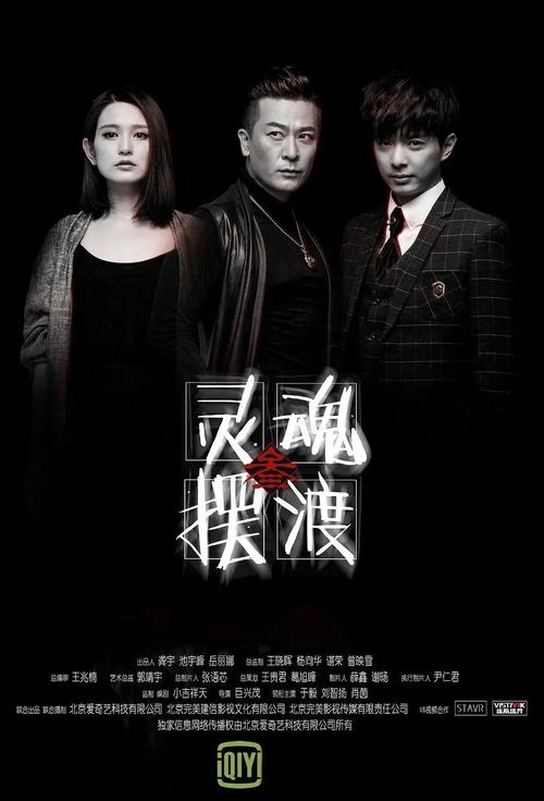 电视剧灵魂摆渡在线观看