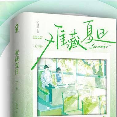 小说盛夏全文免费阅读游戏截图