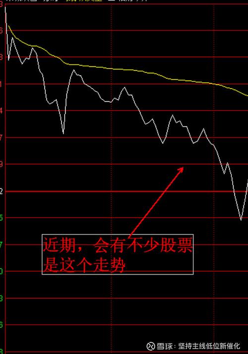 300573股票行情