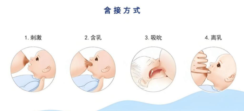 母乳喂养方式