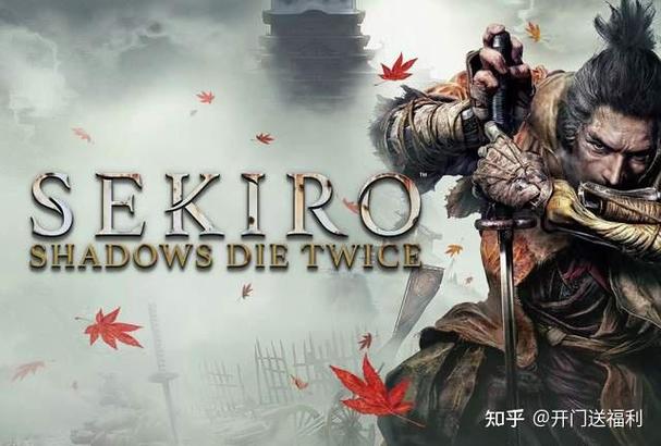 只狼必买道具