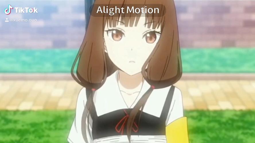 alightmotion免费汉化版缩略图