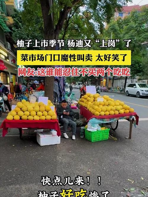 柚子怎么推销叫卖
