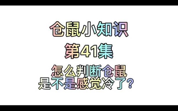 怎么判断仓鼠冷不冷