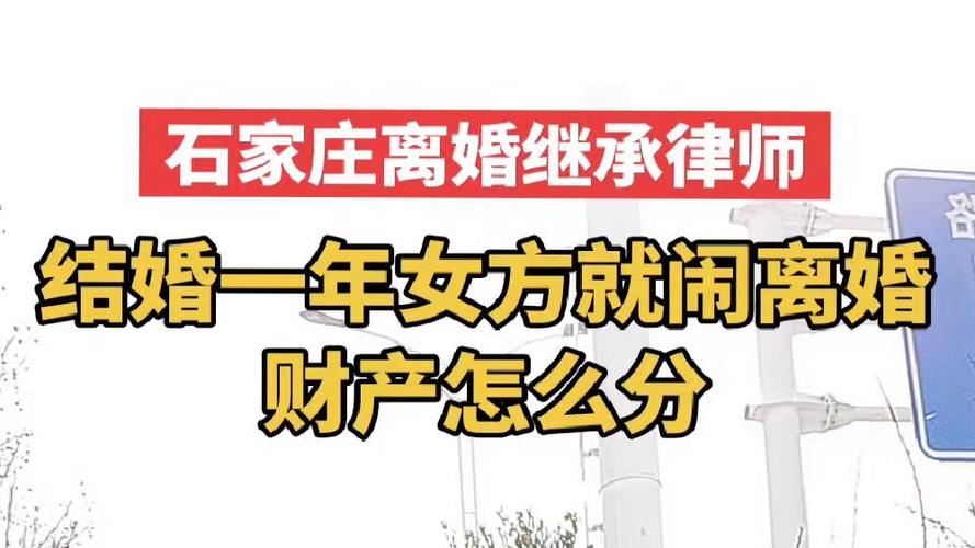 结婚一年离婚了,财产怎么分游戏截图