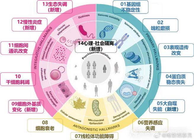 cell在医学上是什么意思