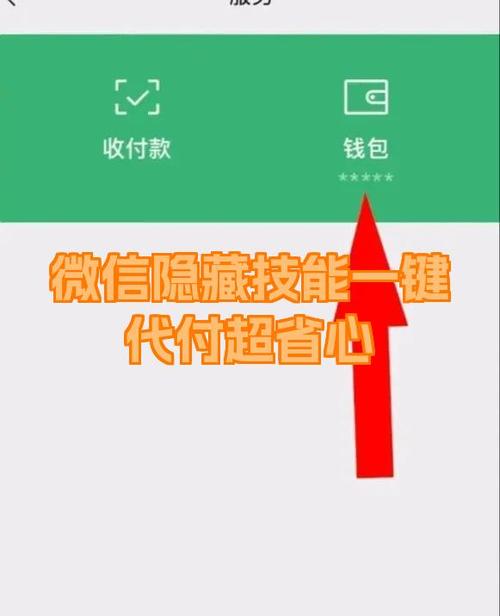 为什么没有代付选项