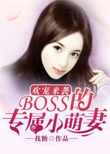欢宠宝贝妻小说免费阅读全文