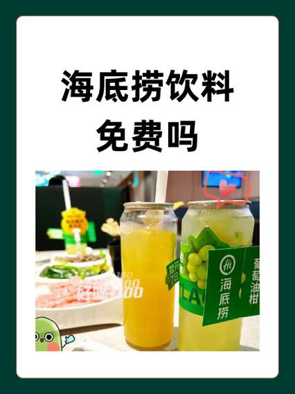 海底捞免费饮料有哪些