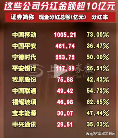 分红何时发
