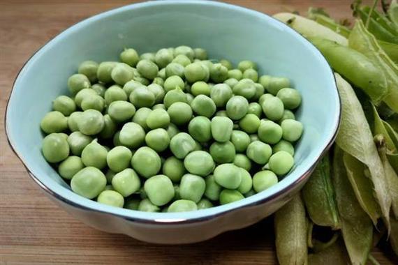 豌豆冻冰箱可以放几个月