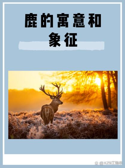 鹿的寓意和象征风水缩略图