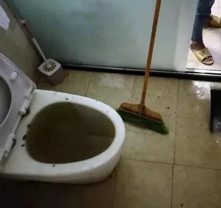 马桶突然自己往上冒水