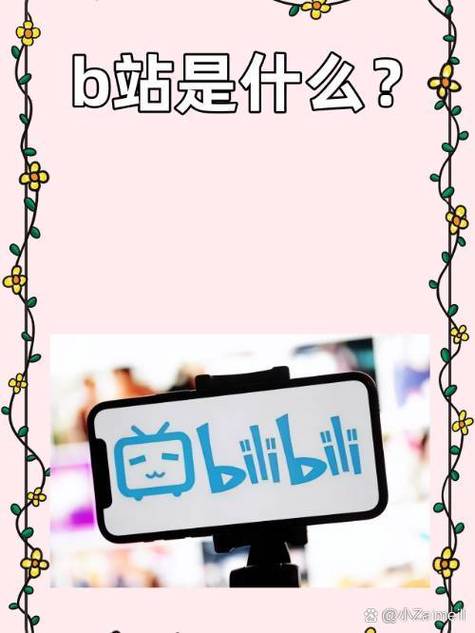 抖音b站是什么截图