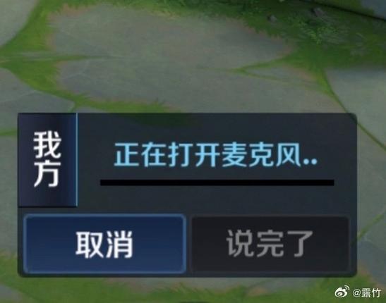 王者局内语音转文字转不了游戏截图