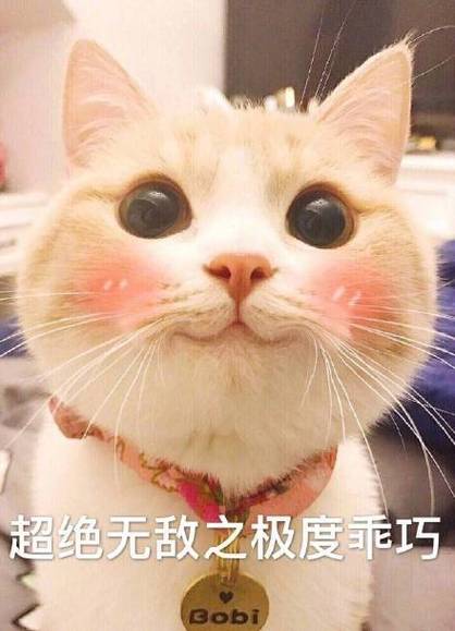 撒娇的可爱表情包