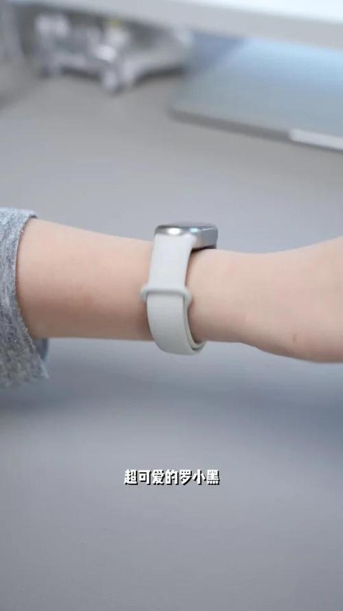 小米手环第三方接入