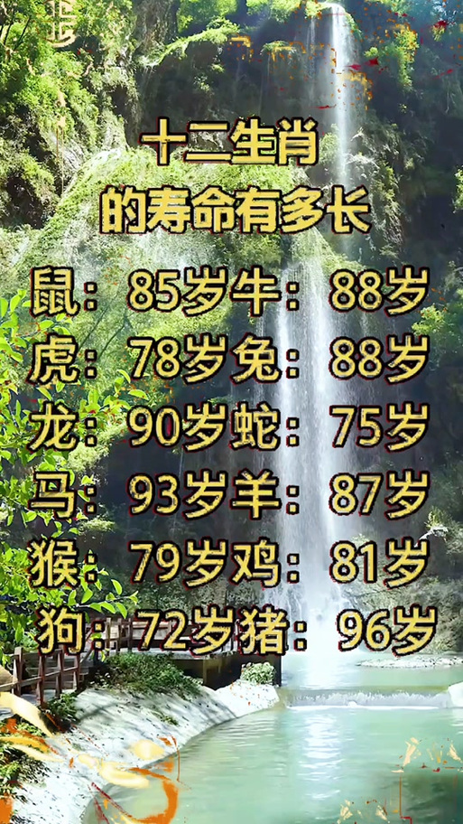 十二生肖谁寿命长正确