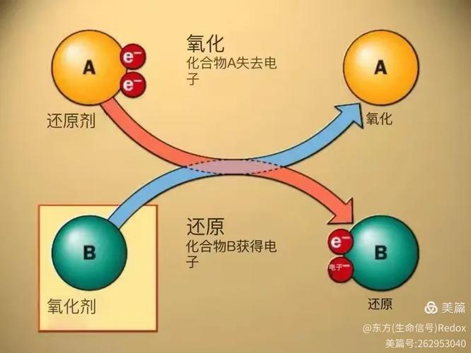 还原反应吸收能量嘛