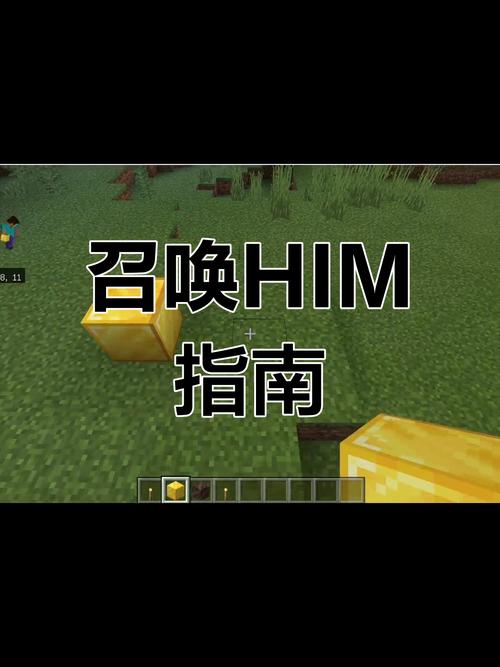 我的世界怎么把him招出