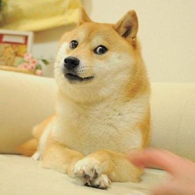 doge的独特语言风格