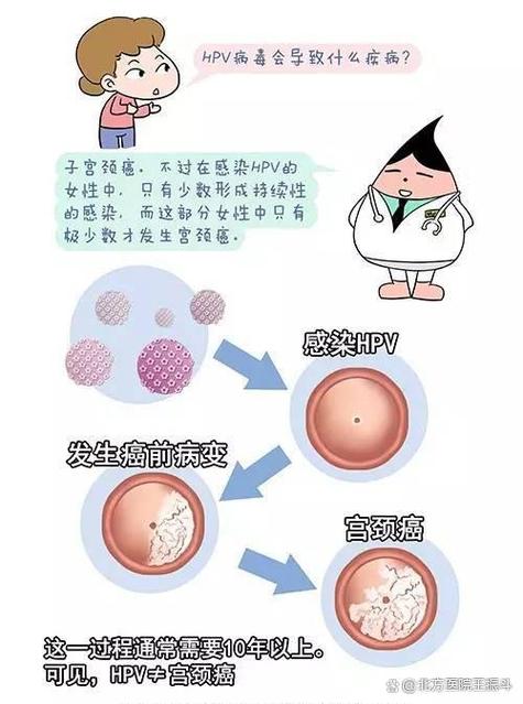 低危阳性44怎么治疗