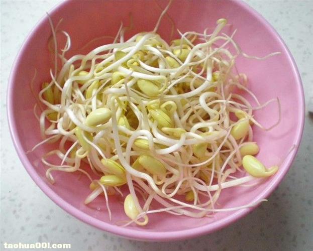 怎样发豆芽菜又短又粗