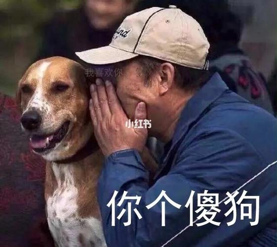 我有个秘密下