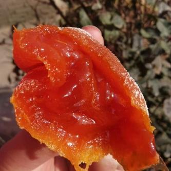 网红柿饼